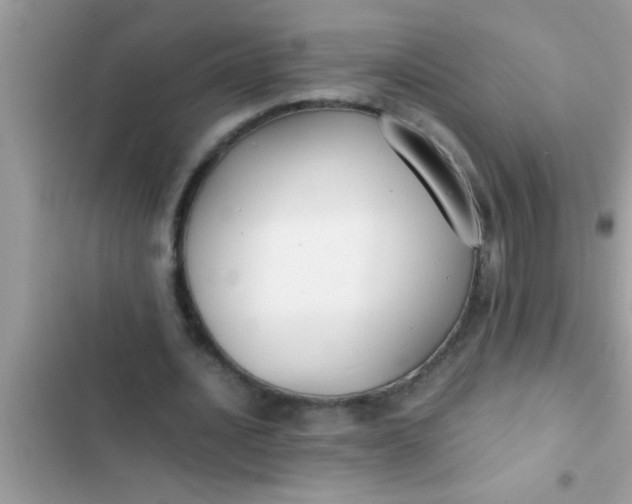 X0000102390628200808151921