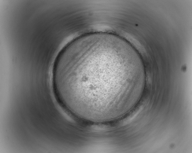 X0000102390630200808151921