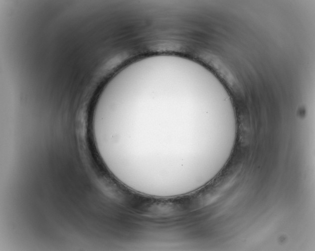 X0000102390631200808151921