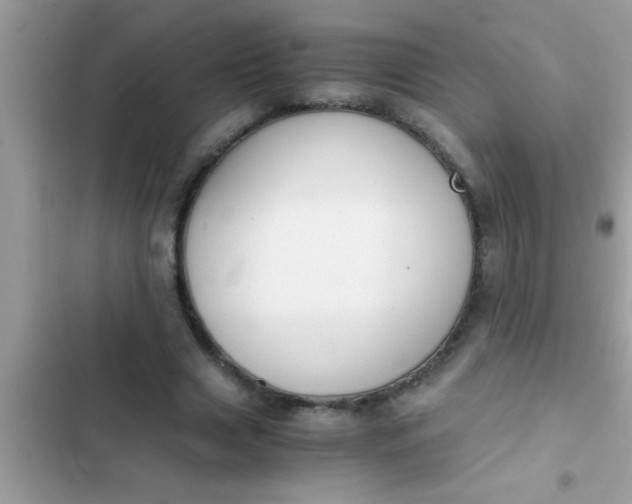 X0000102390633200808151921