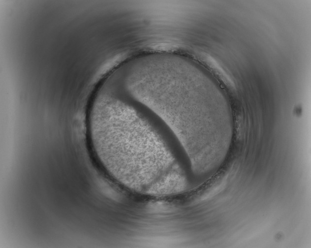 X0000102390634200808151921