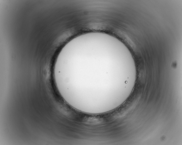 X0000102390635200808151921