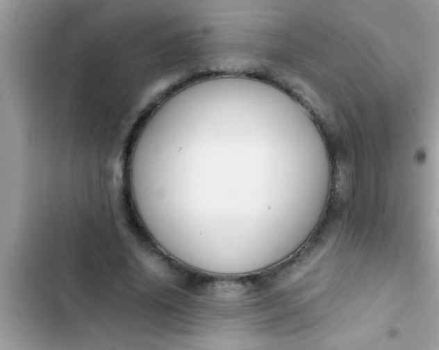 X0000102390636200808151922