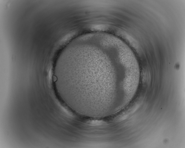 X0000102390637200808151922