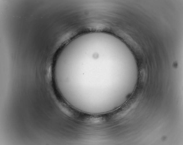 X0000102390638200808151922