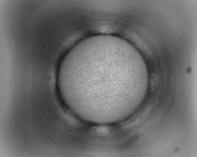 X0000102390639200808151922