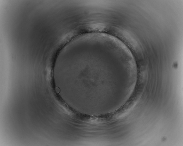 X0000102390641200808151922