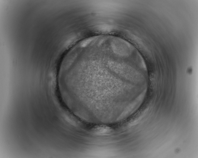 X0000102390642200808151922