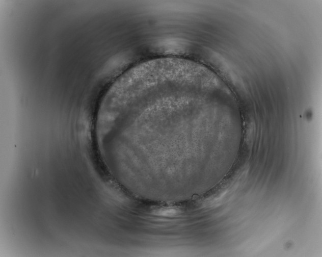 X0000102390643200808151922