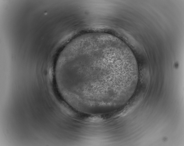 X0000102390644200808151922