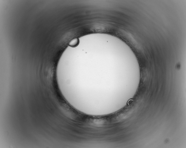 X0000102390645200808151922