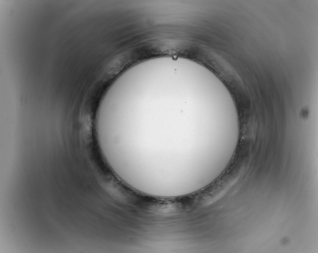 X0000102390646200808151922