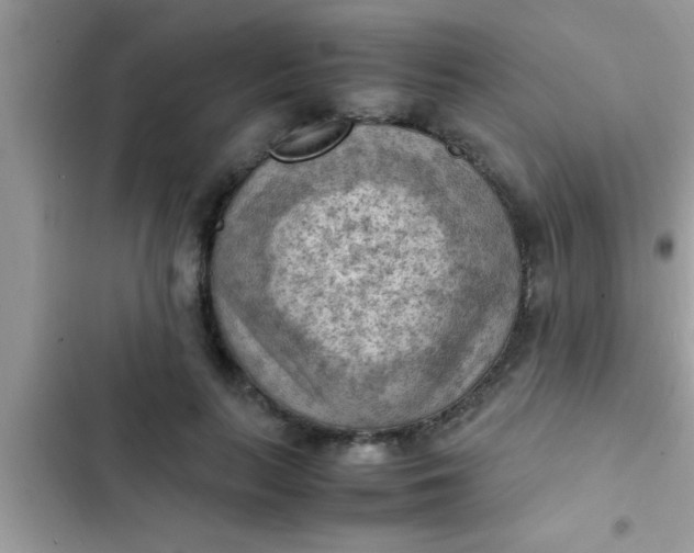 X0000102390647200808151922