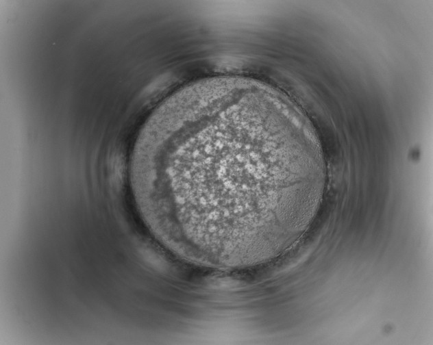 X0000102390648200808151922