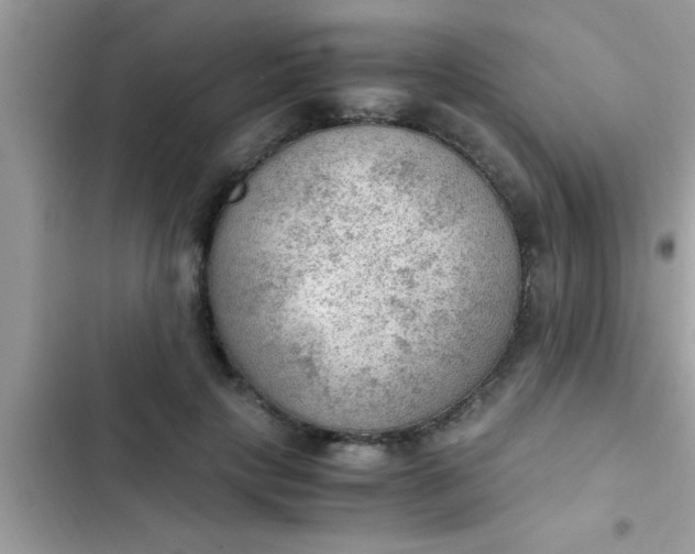 X0000102390649200808151922