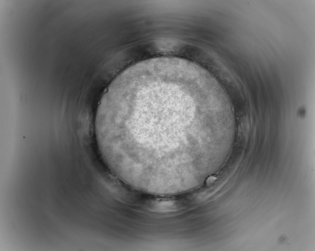 X0000102390651200808151922