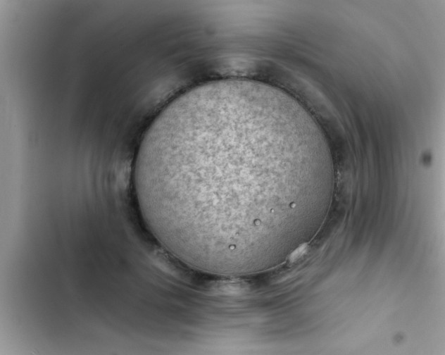 X0000102390652200808151922