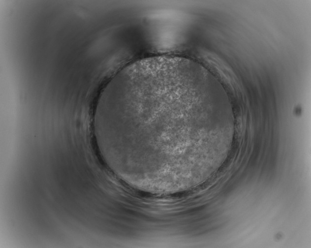 X0000102390653200808151922