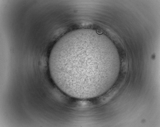 X0000102390654200808151922