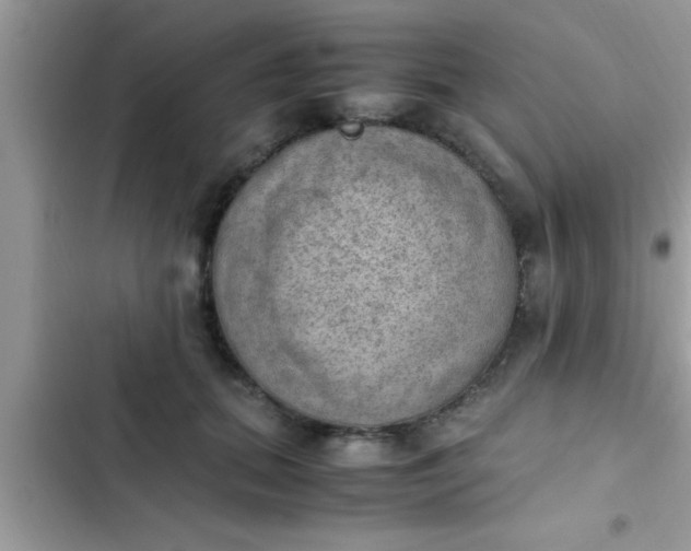 X0000102390655200808151922