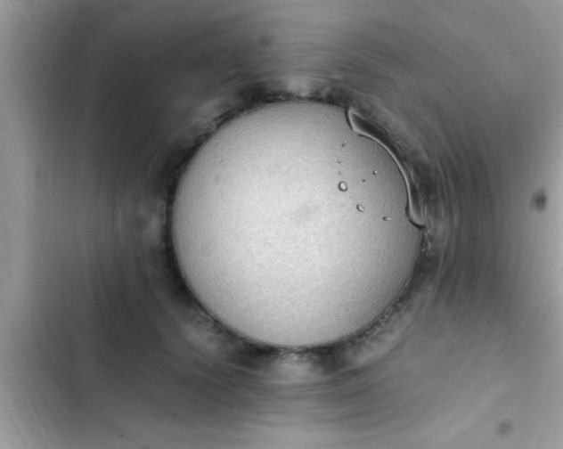 X0000102390656200808151922