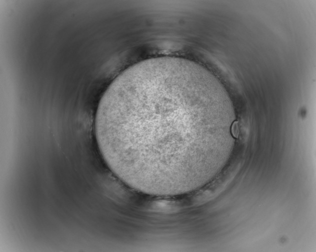 X0000102390657200808151922