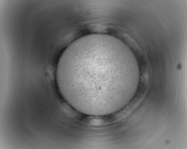 X0000102390658200808151922