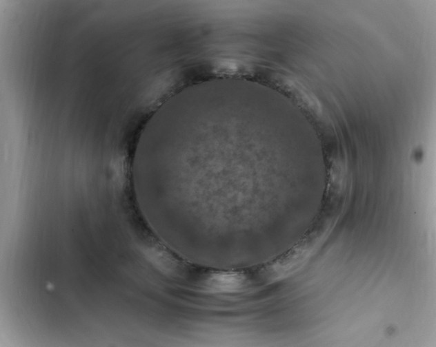 X0000102390659200808151922