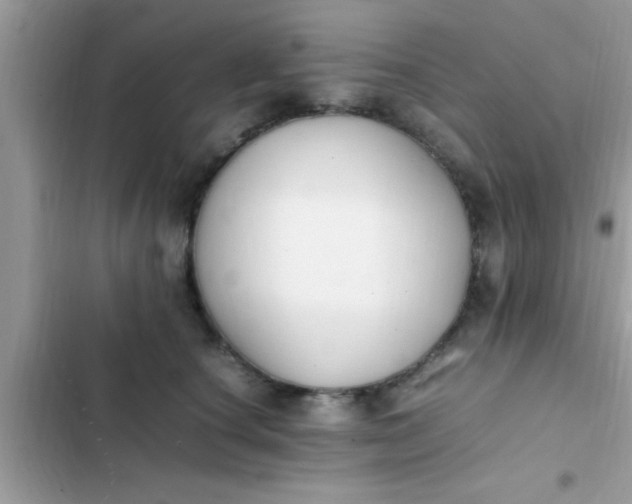 X0000102390660200808151922