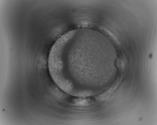 X0000102390661200808151922