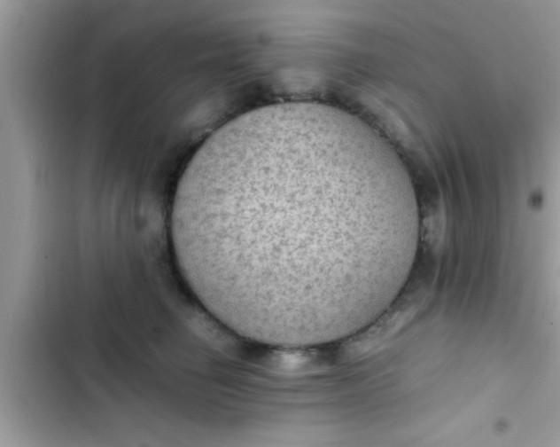 X0000102390662200808151922