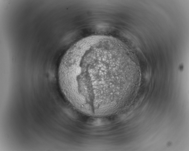 X0000102390663200808151922