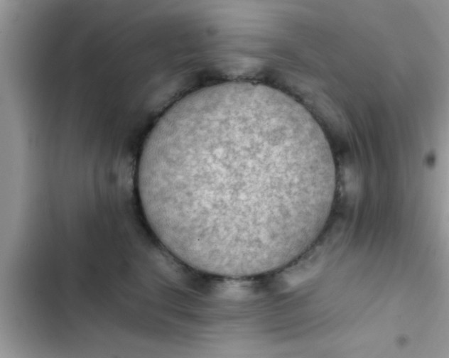 X0000102390664200808151922