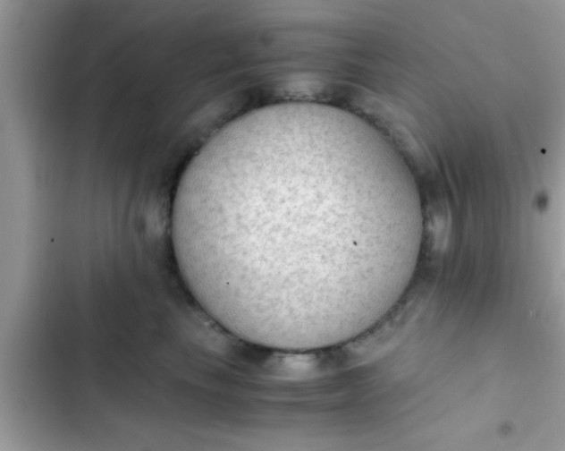 X0000102390665200808151922