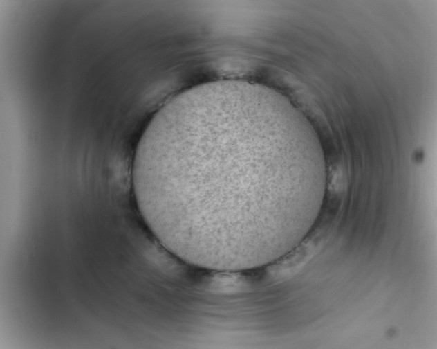 X0000102390666200808151922