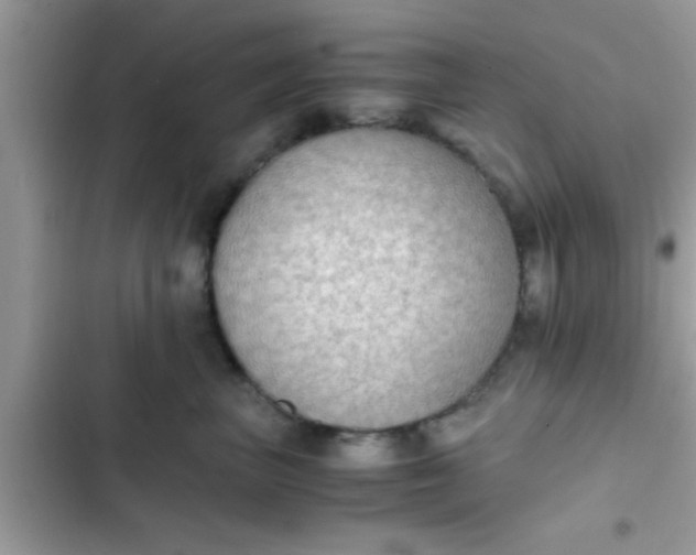 X0000102390667200808151922