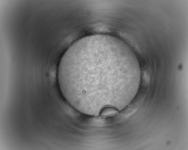 X0000102390668200808151922