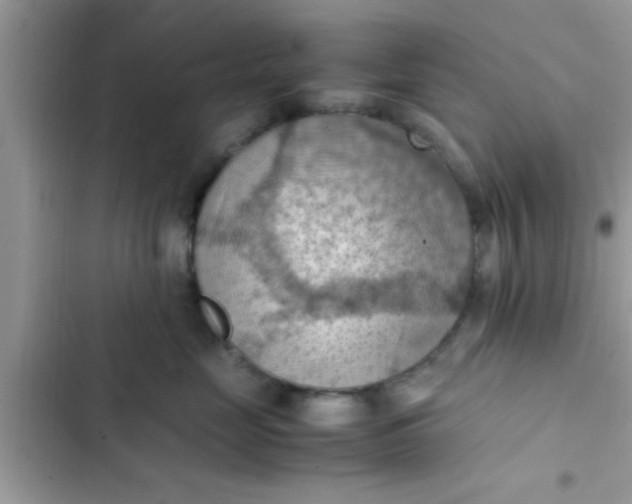 X0000102390669200808151922