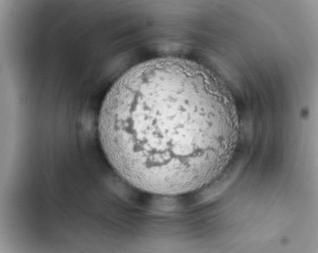 X0000102390671200808151922