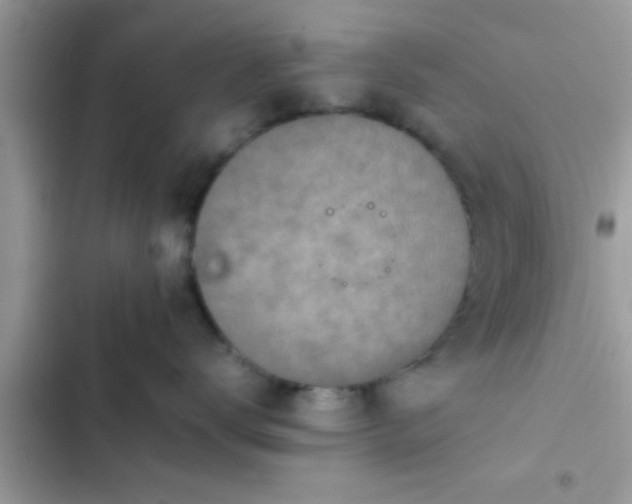 X0000102390672200808151922