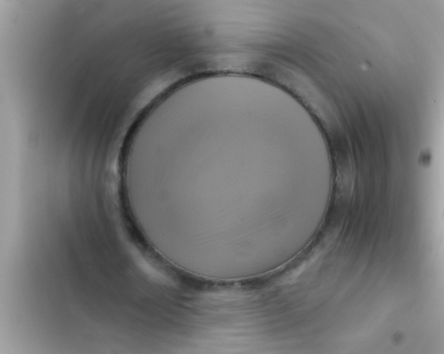 X0000102390674200808151921