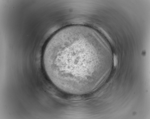 X0000102390675200808151921