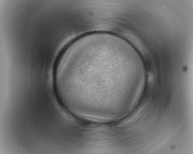 X0000102390676200808151921