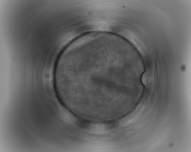 X0000102390677200808151921