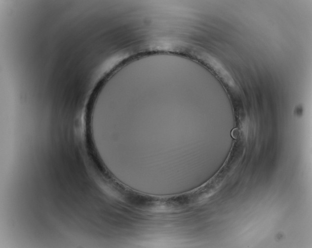 X0000102390678200808151921