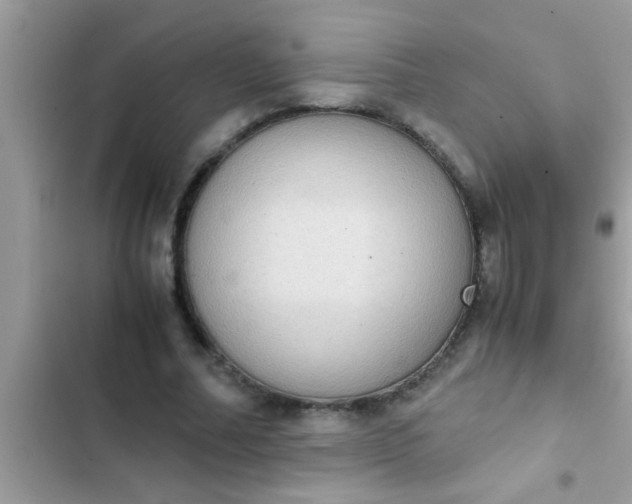 X0000102390682200808151921