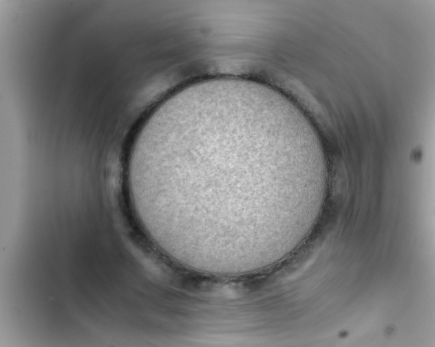 X0000102390683200808151921