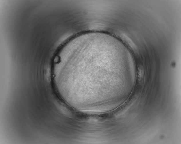 X0000102390684200808151921