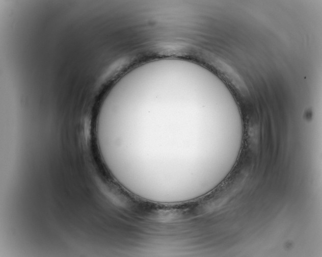 X0000102390686200808151921