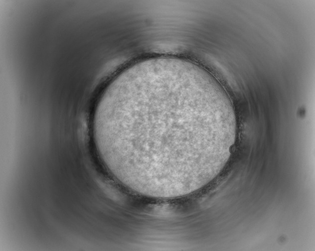 X0000102390688200808151921